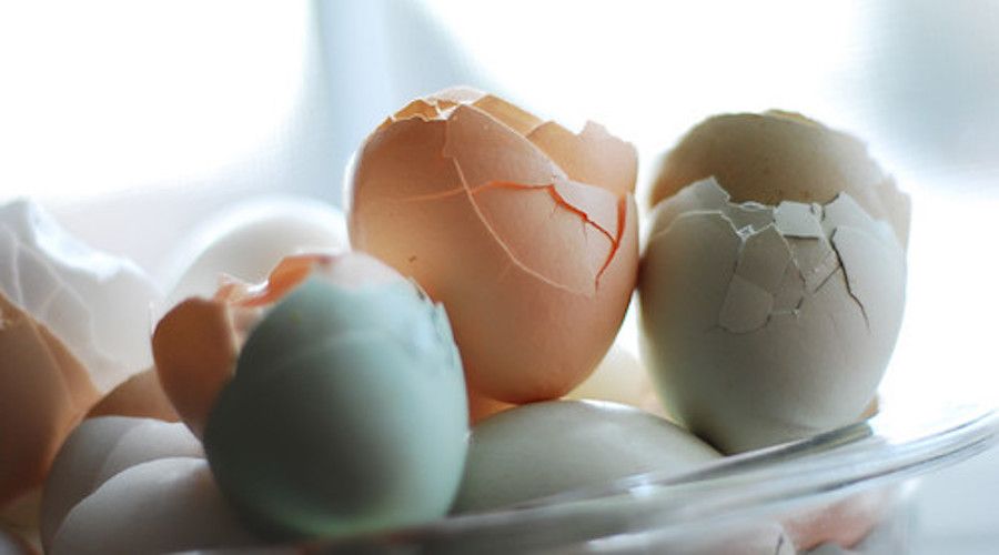 How To Use Eggshells In Your Garden 1 