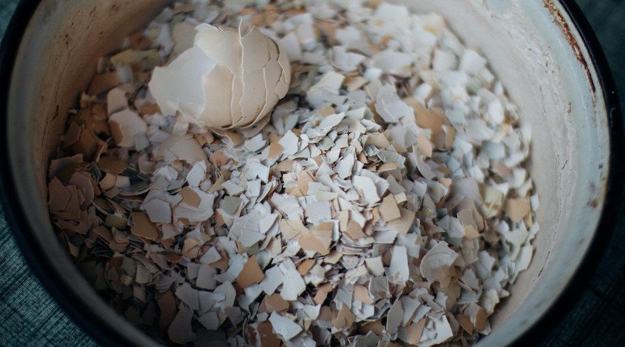 How To Use Eggshells In Your Garden