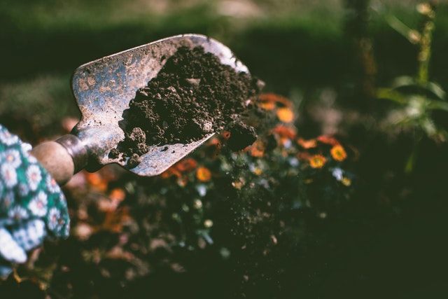 Soil Falling From Garden Shovel