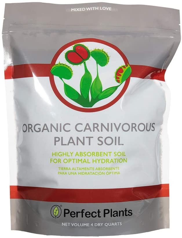 The Best Potting Soil For Container Plants