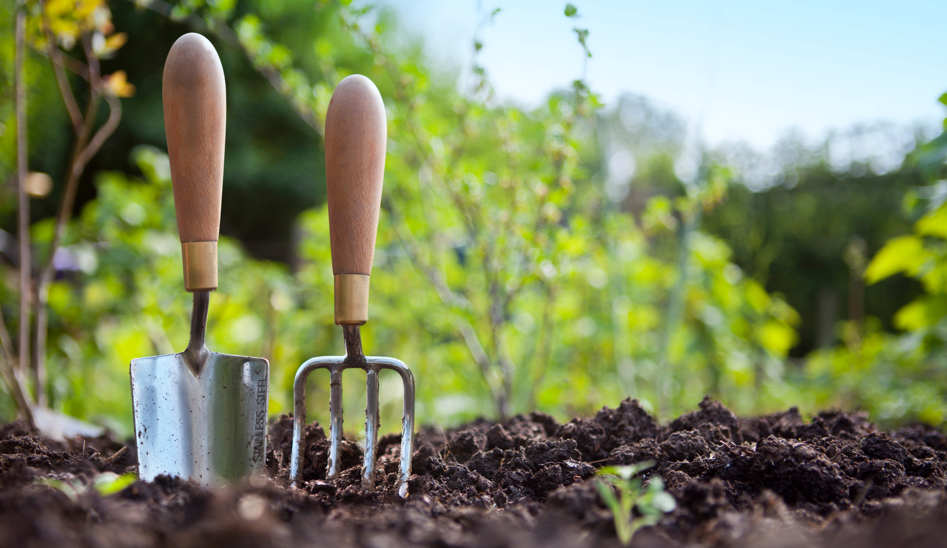 Gardening Hand Trowel and Fork Standing in Garden Soil