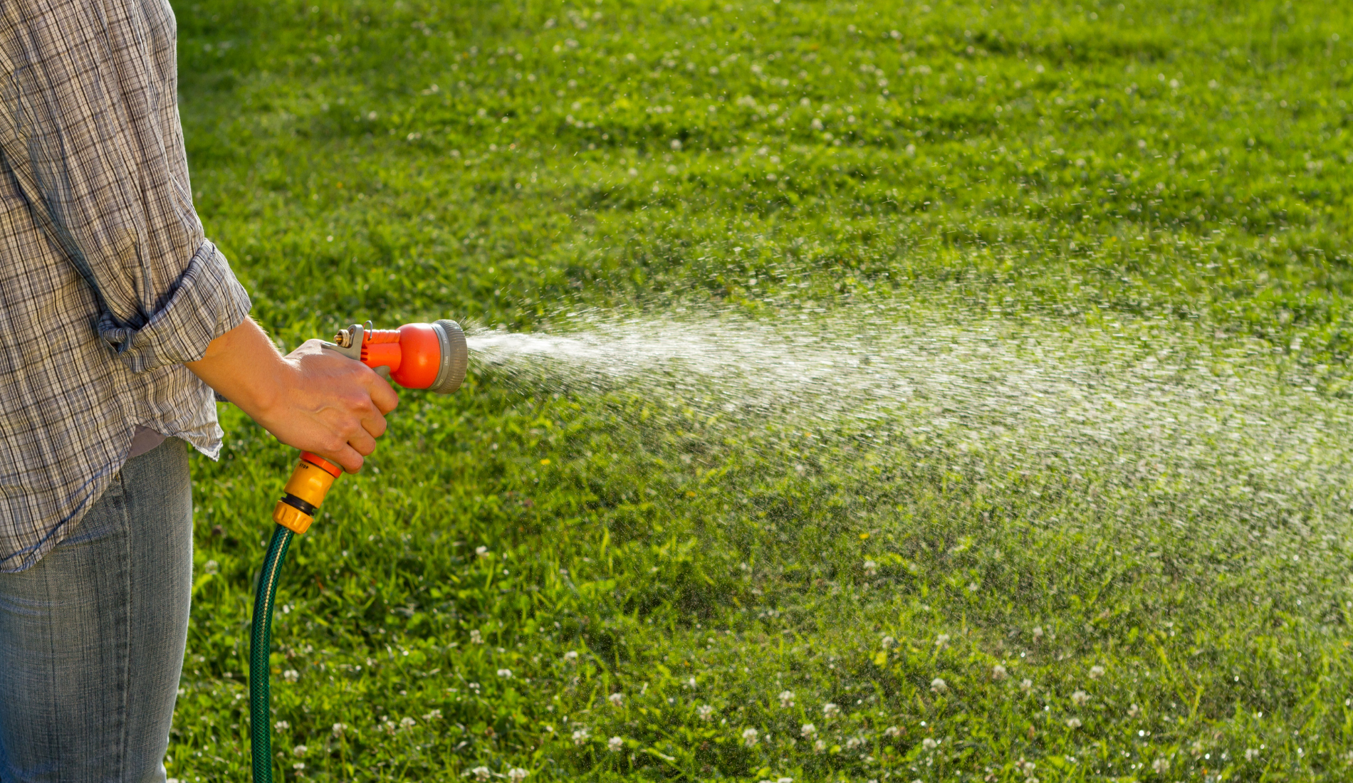Woman watering the lawn with orange hose