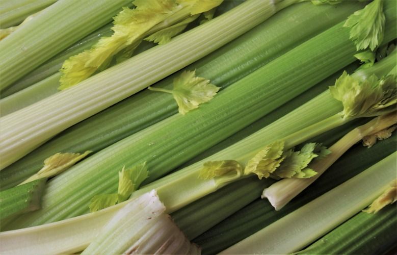 A bundle of celery stalks