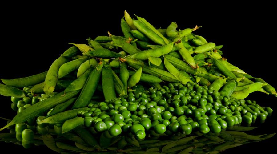 A pile of green pea pods and peas