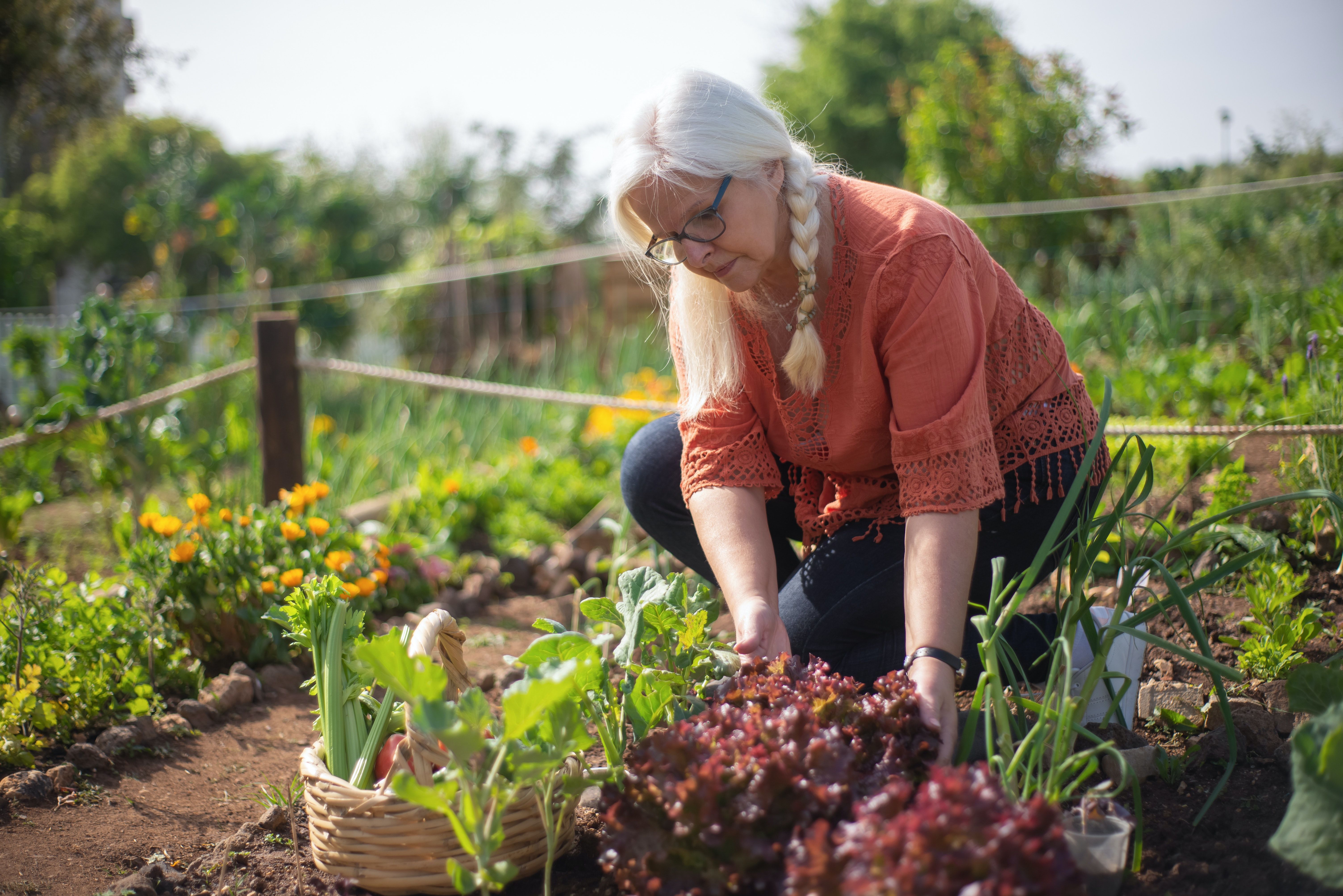 Woman planting vegetables
