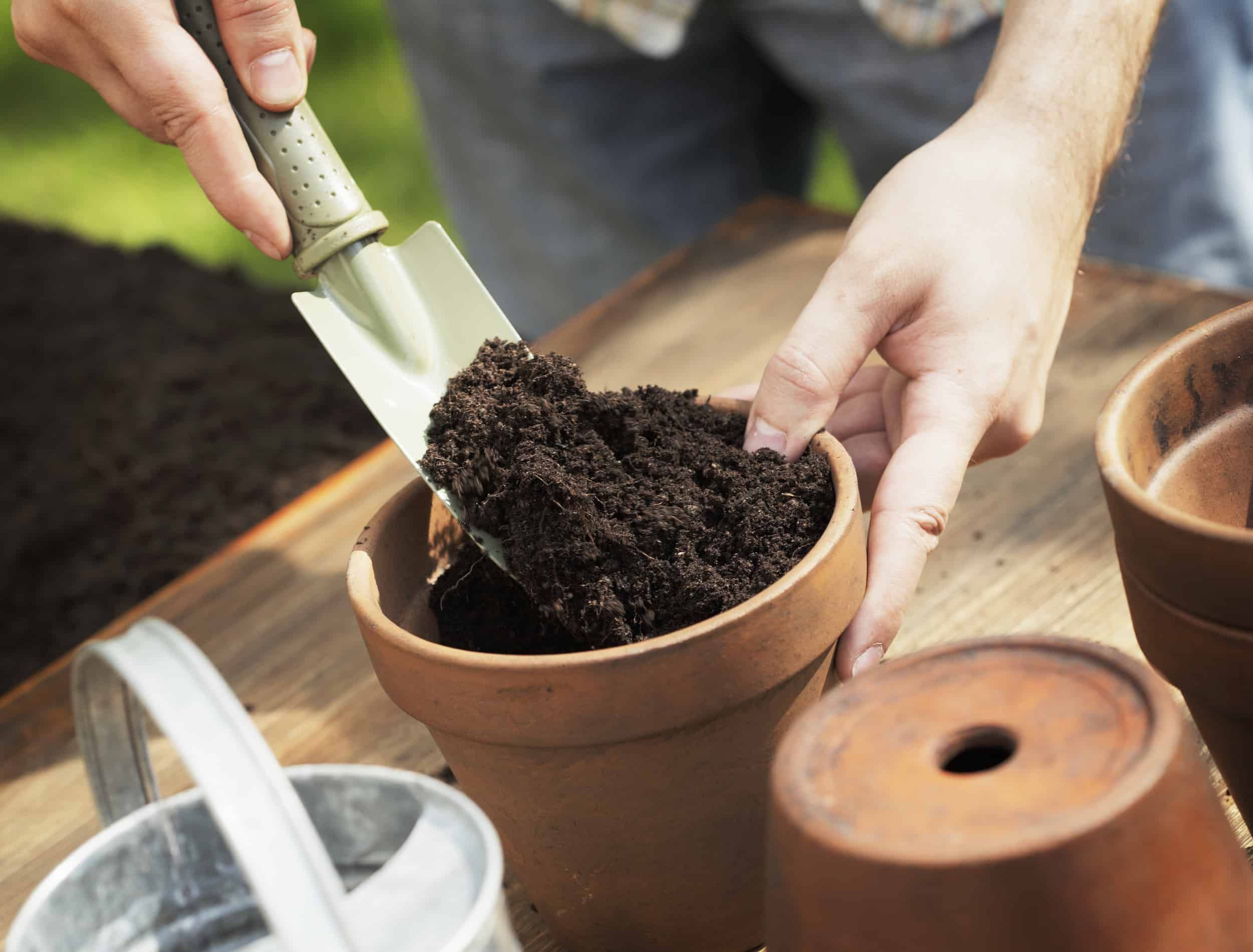 Hands putting soil to a clay flower pot