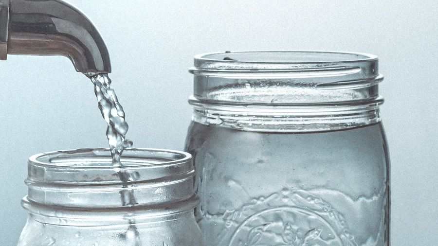 water jar for stem cuttings