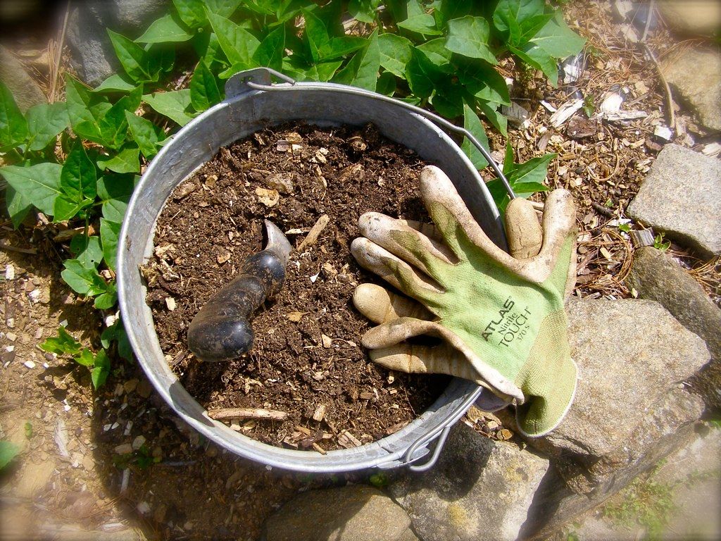 Bucket, soil, gloves, and tools for gardening