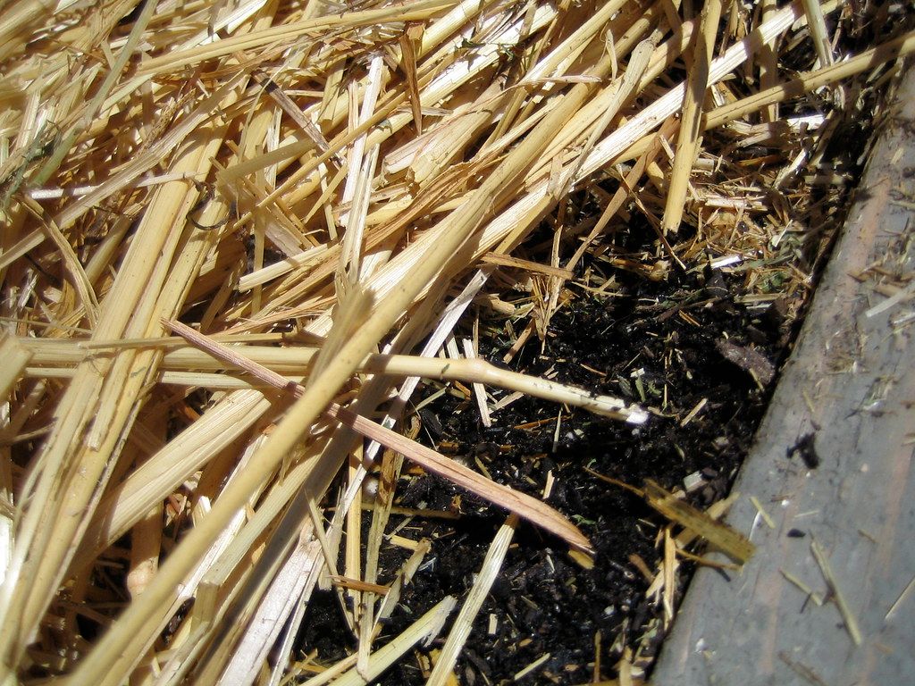 Healthy soil and straw mulch