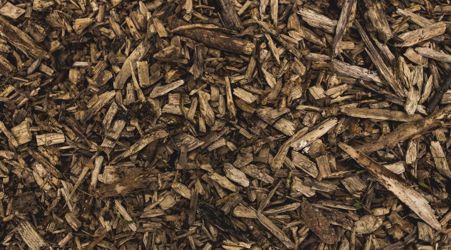 wood chip mulch in garden bed