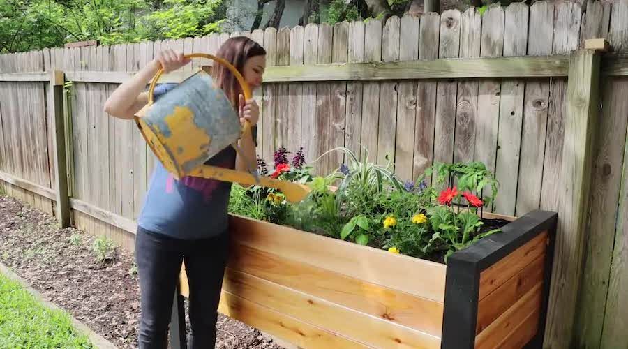 Amazing Raised Garden Bed Ideas Any Beginner Can DIY