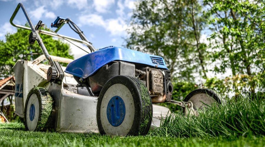 Blue lawn mower mowing tall green grass