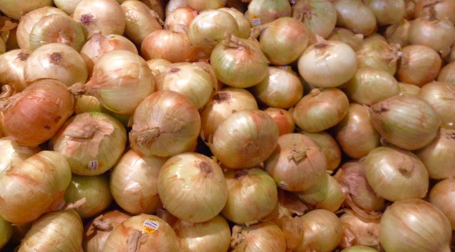 onions in bulk