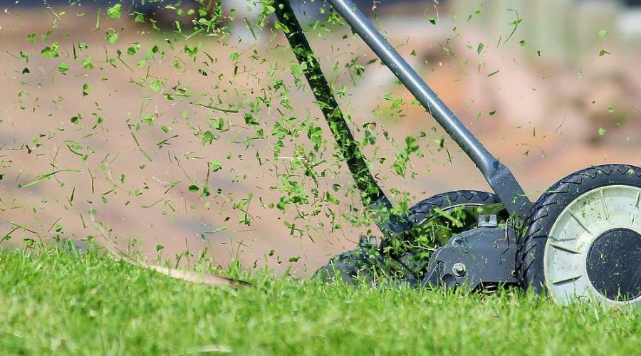 grass clippings flying into air as a lawn mower passes by