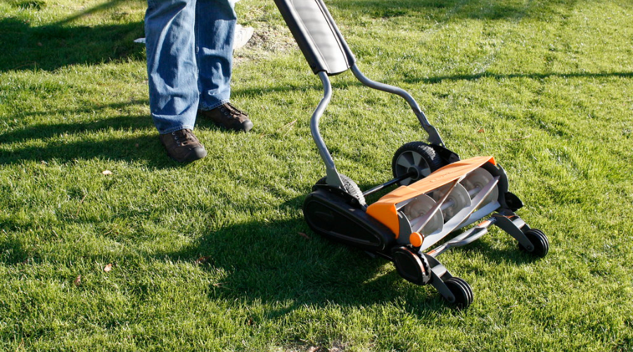 Manual reel mower on lawn