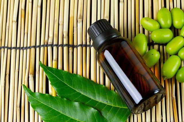 Neem Oil Bottle with Leaves and Fruit on Bamboo Mat