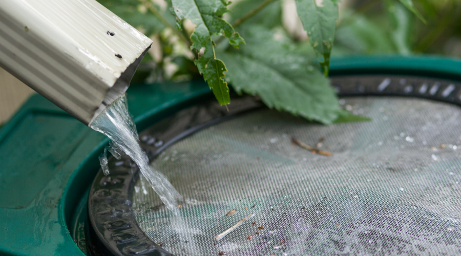 How to Harvest Rainwater