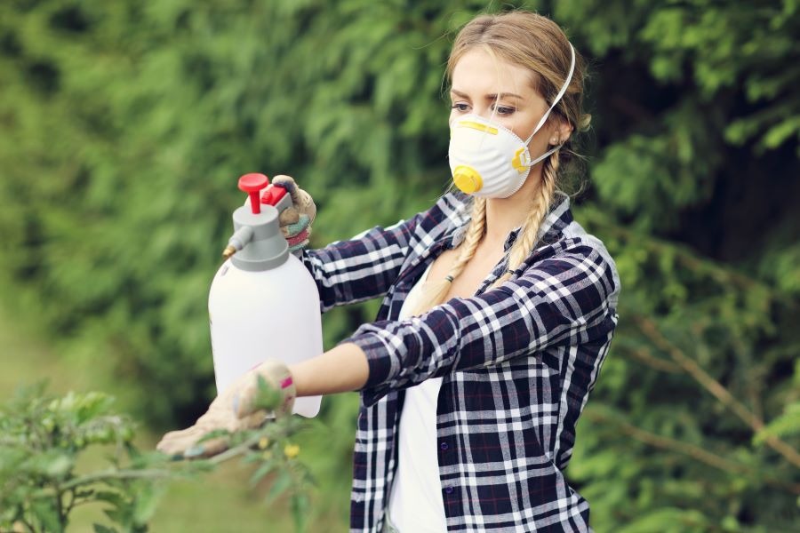 Woman in mask spraying a fruit tree