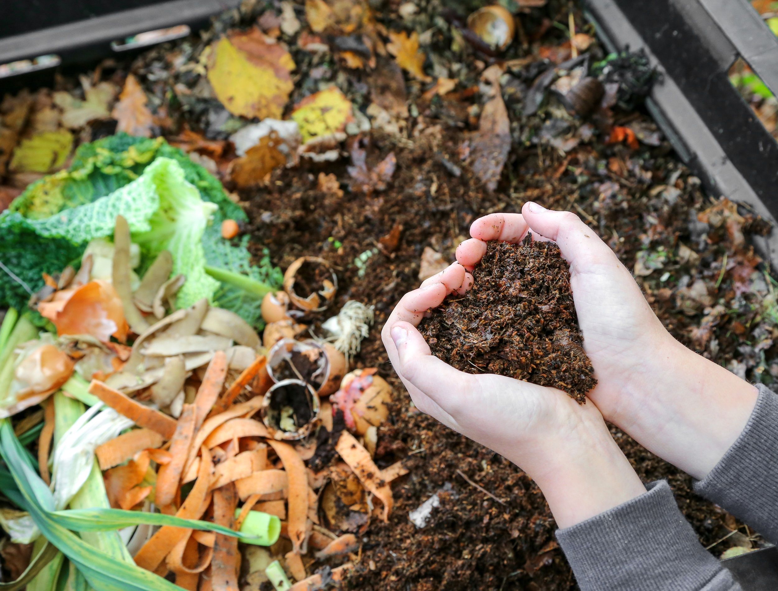 hands holding compost above the composter with organic waste