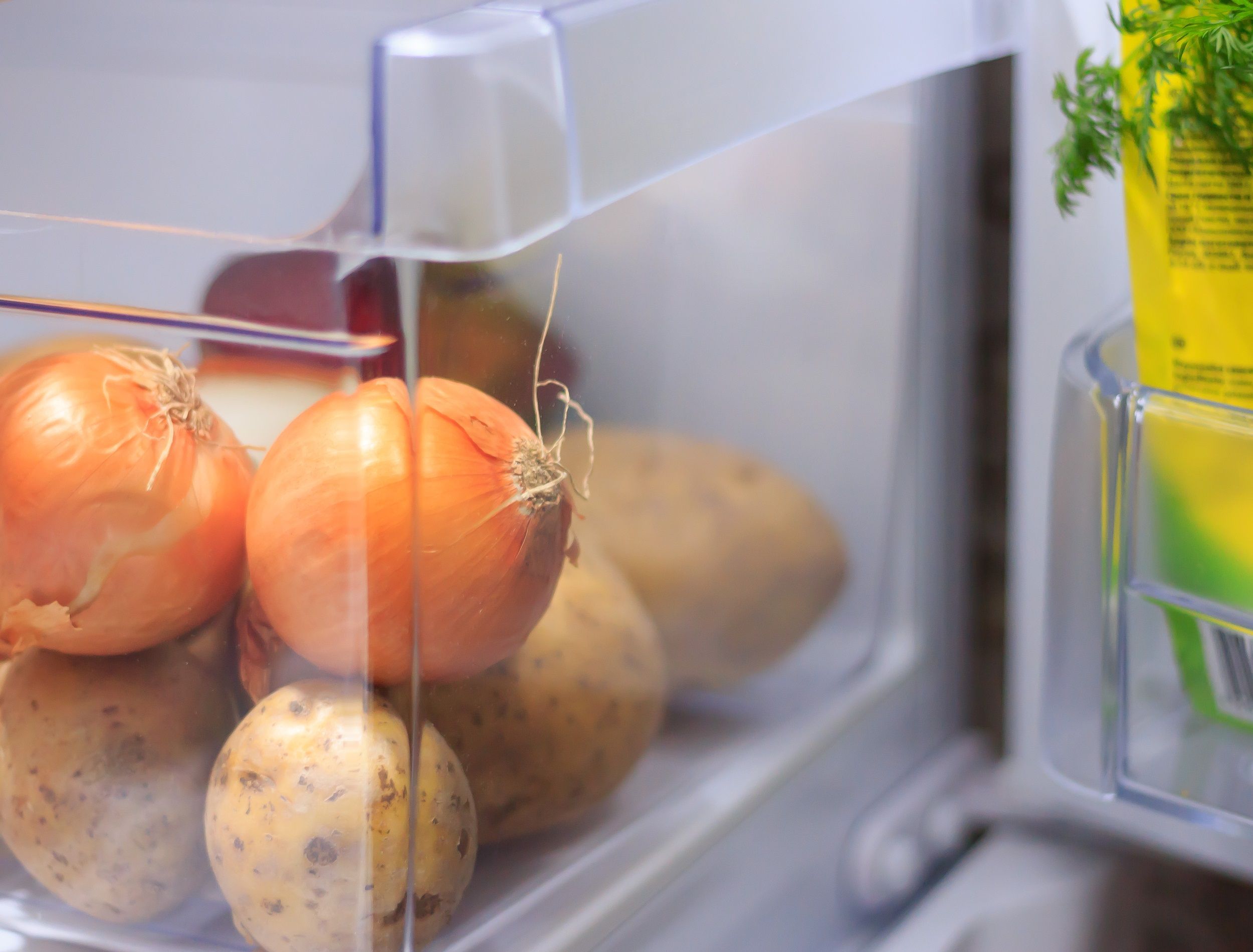 Vegetables in the open fridge drawer