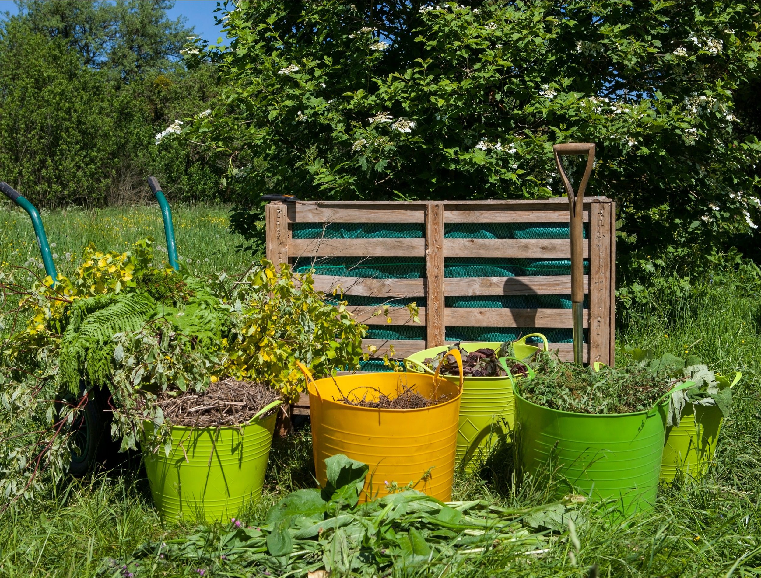 Compost bin and mulch in a summer garden