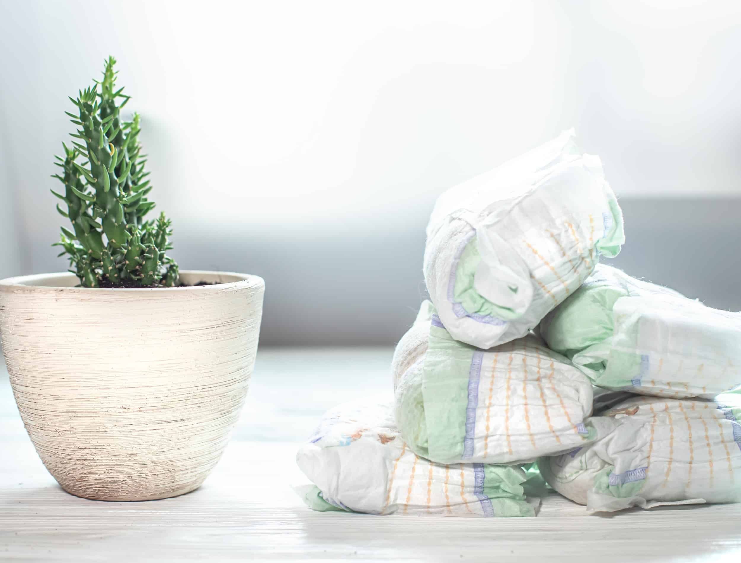 9 Gardening Secrets the Experts Never Tell You