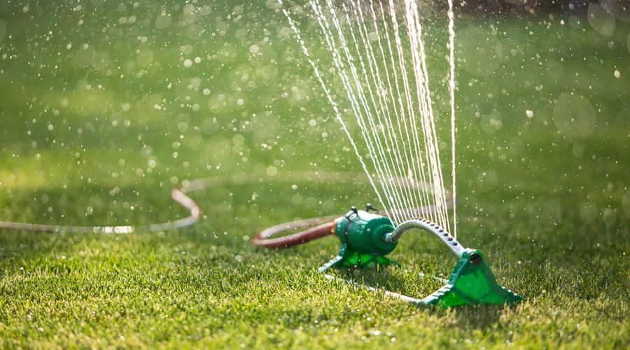 close up of sprinkler watering green lawn