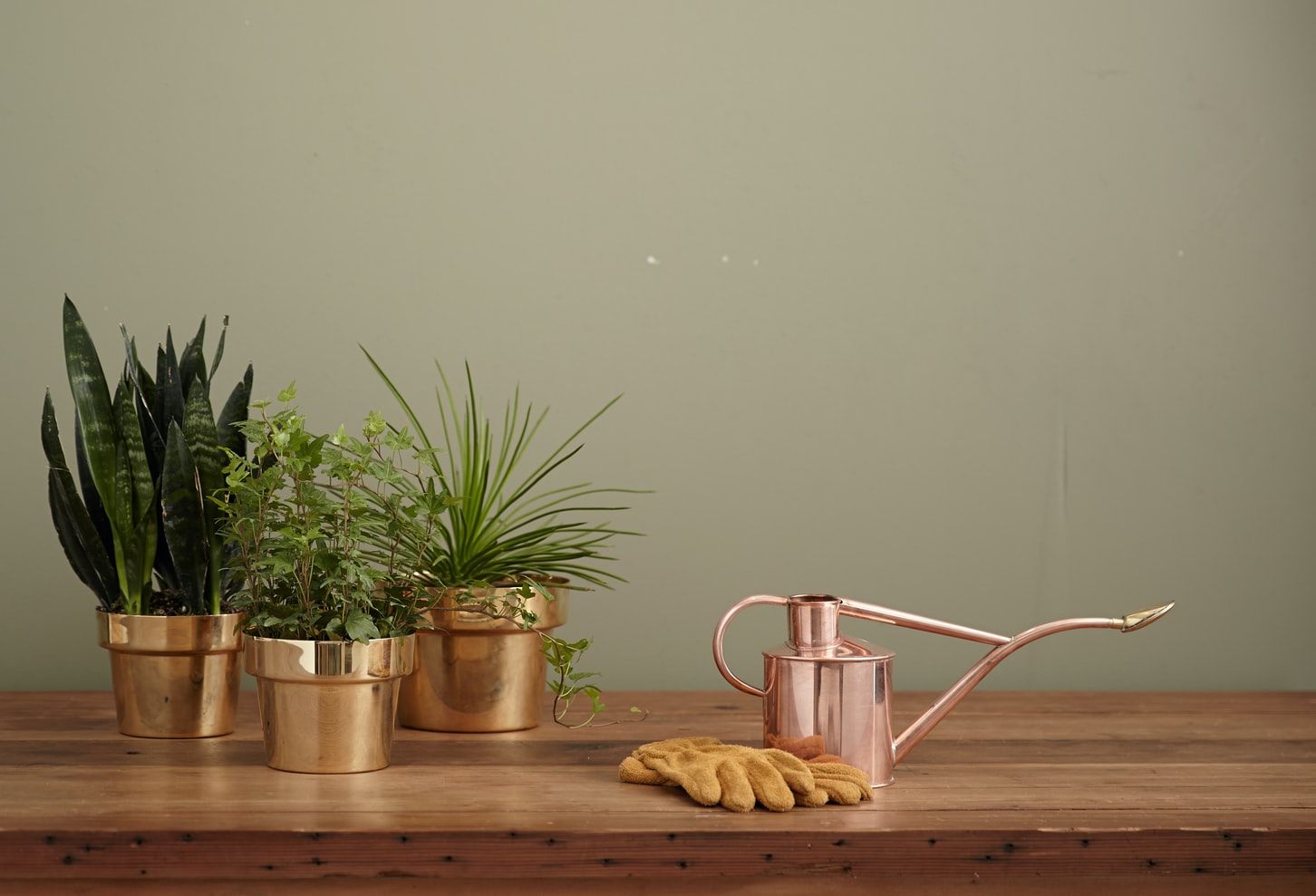 Watering can and indoor plants