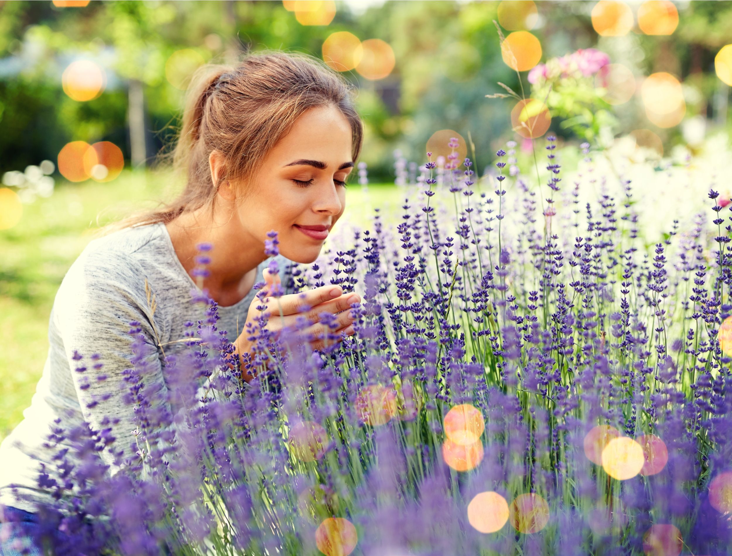 happy young woman smelling lavender flowers at summer garden over festive lights background
