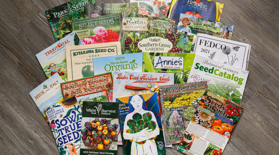 Group of seed catalogs from a variety of companies advertising their products