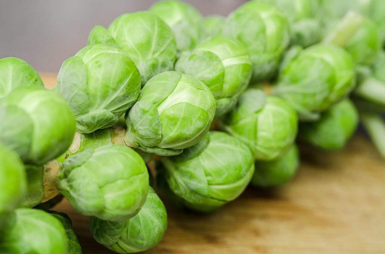 stalk of Brussels sprouts