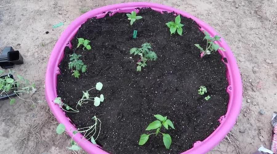 8 DIY Raised Garden Bed Ideas