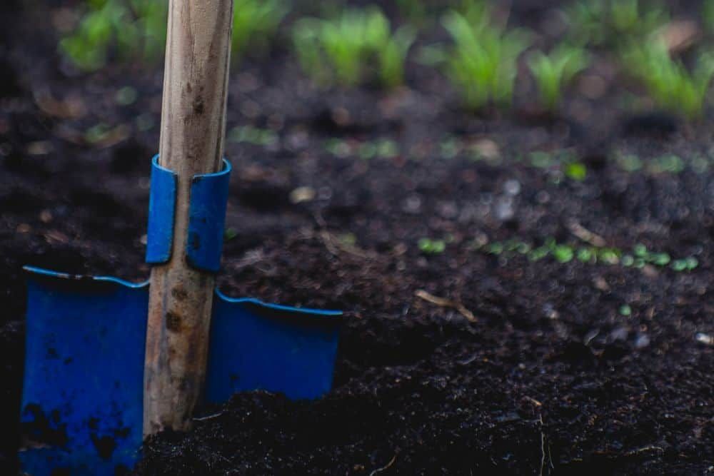 Blue shovel digging in the dirt of a garden