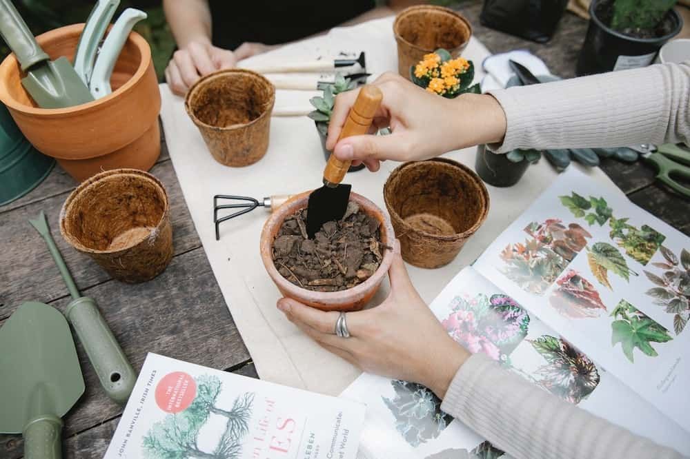 putting soil in a container