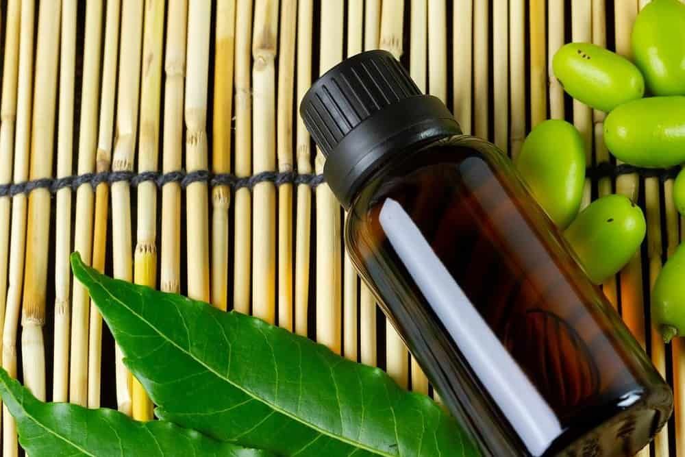 Neem Oil Ingredients and Brown Bottle on Bamboo Mat