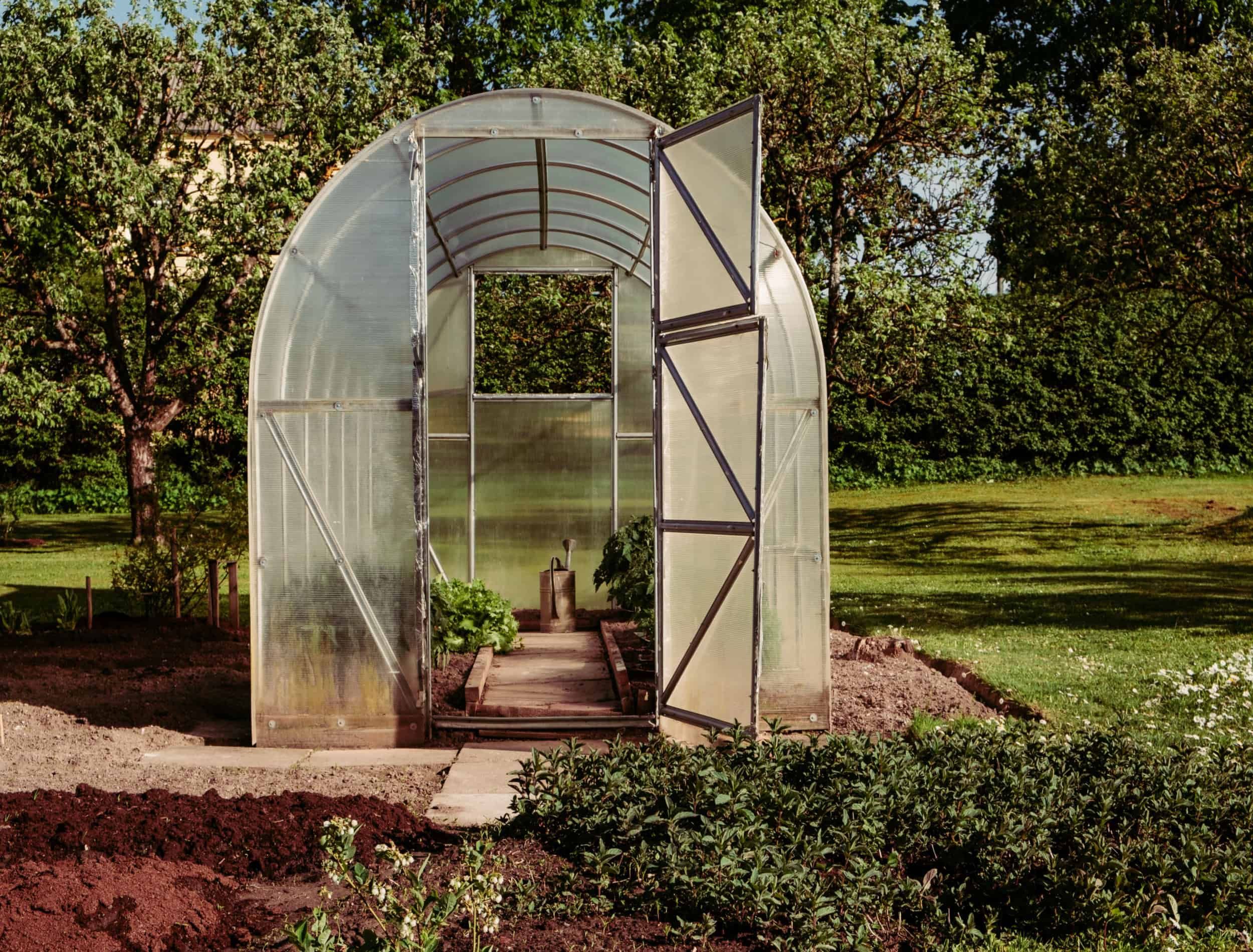 Polycarbonate greenhouse in the garden for growing your own fresh food with doors open and a watering can