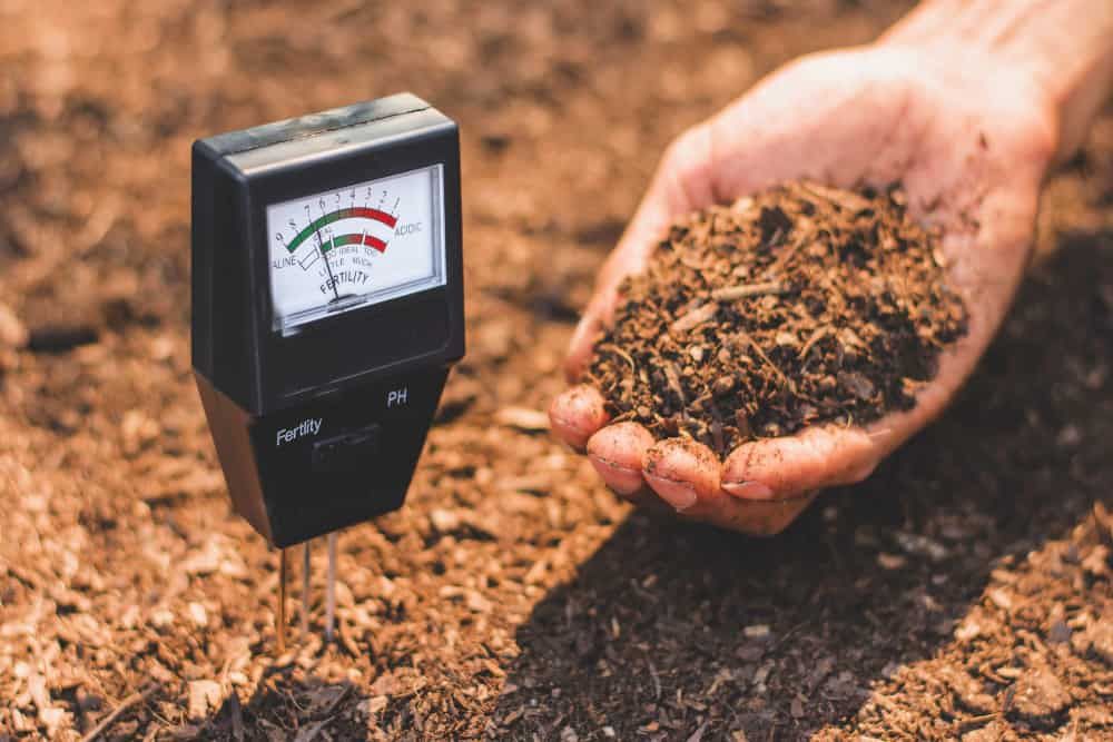 Soil meter that is currently being used in a loam that is suitable for cultivation.