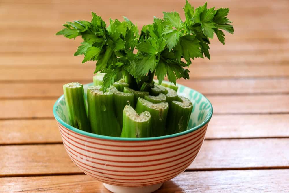 celery regrowing in a bowl