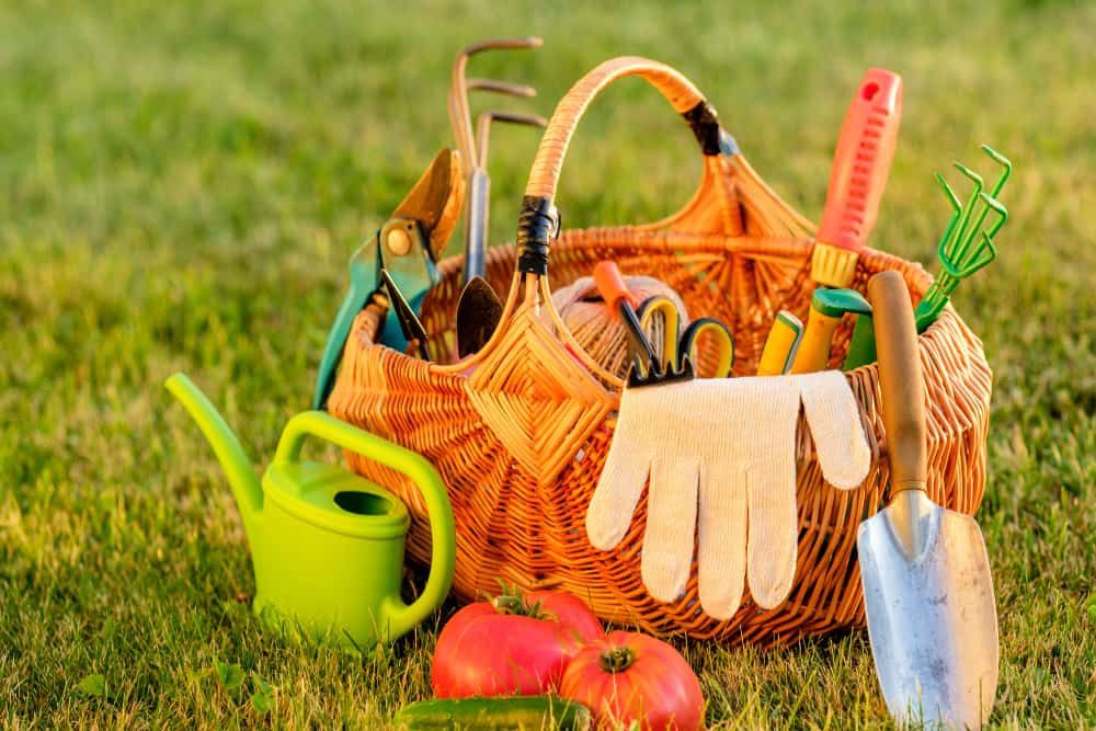 gardening tools in a basket