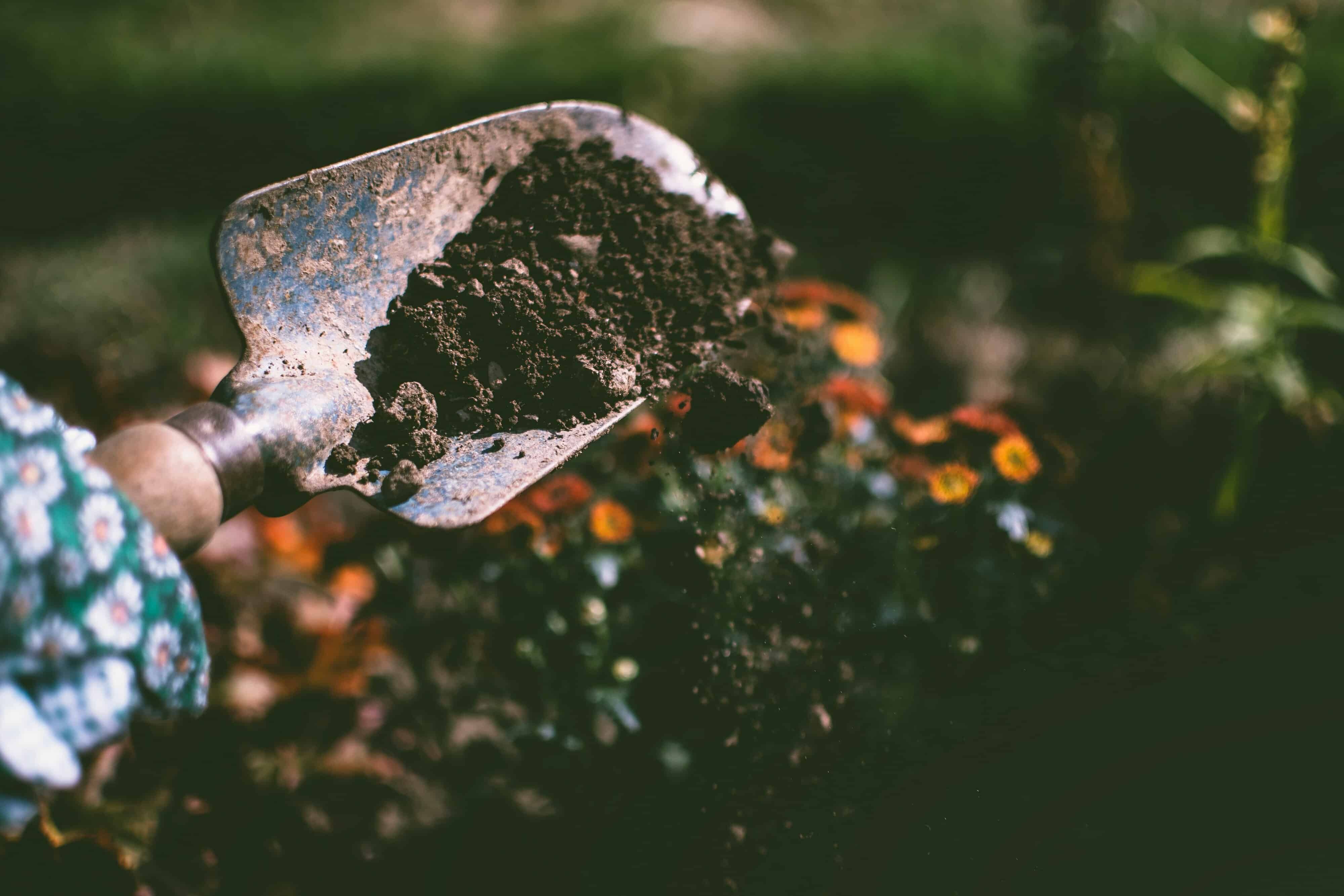 gardening tool in soil