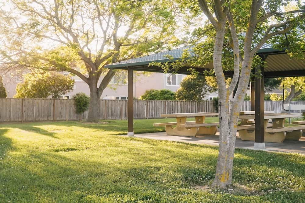 Topsoil vs Garden Soil What's the Difference?