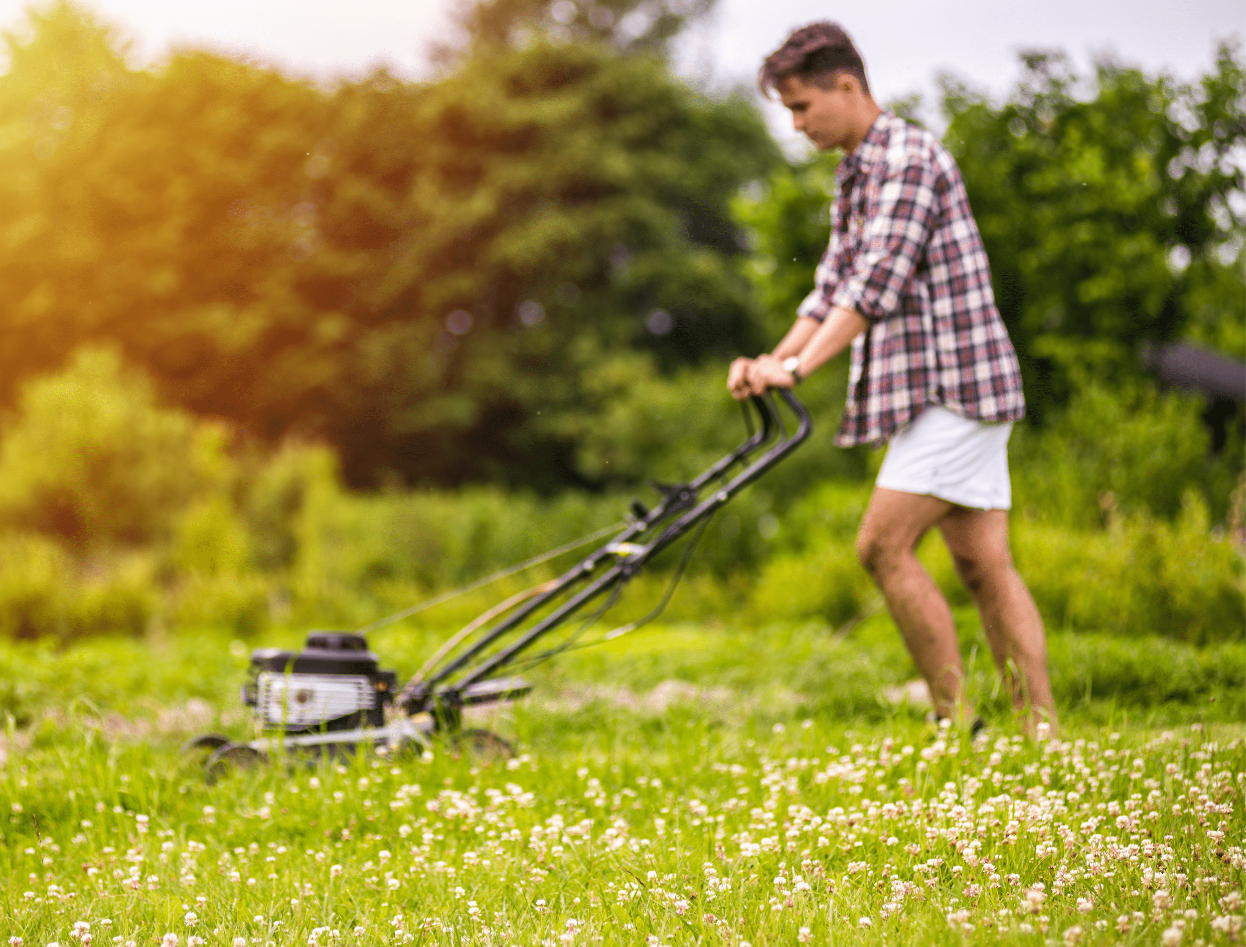 Young man mowing lawn