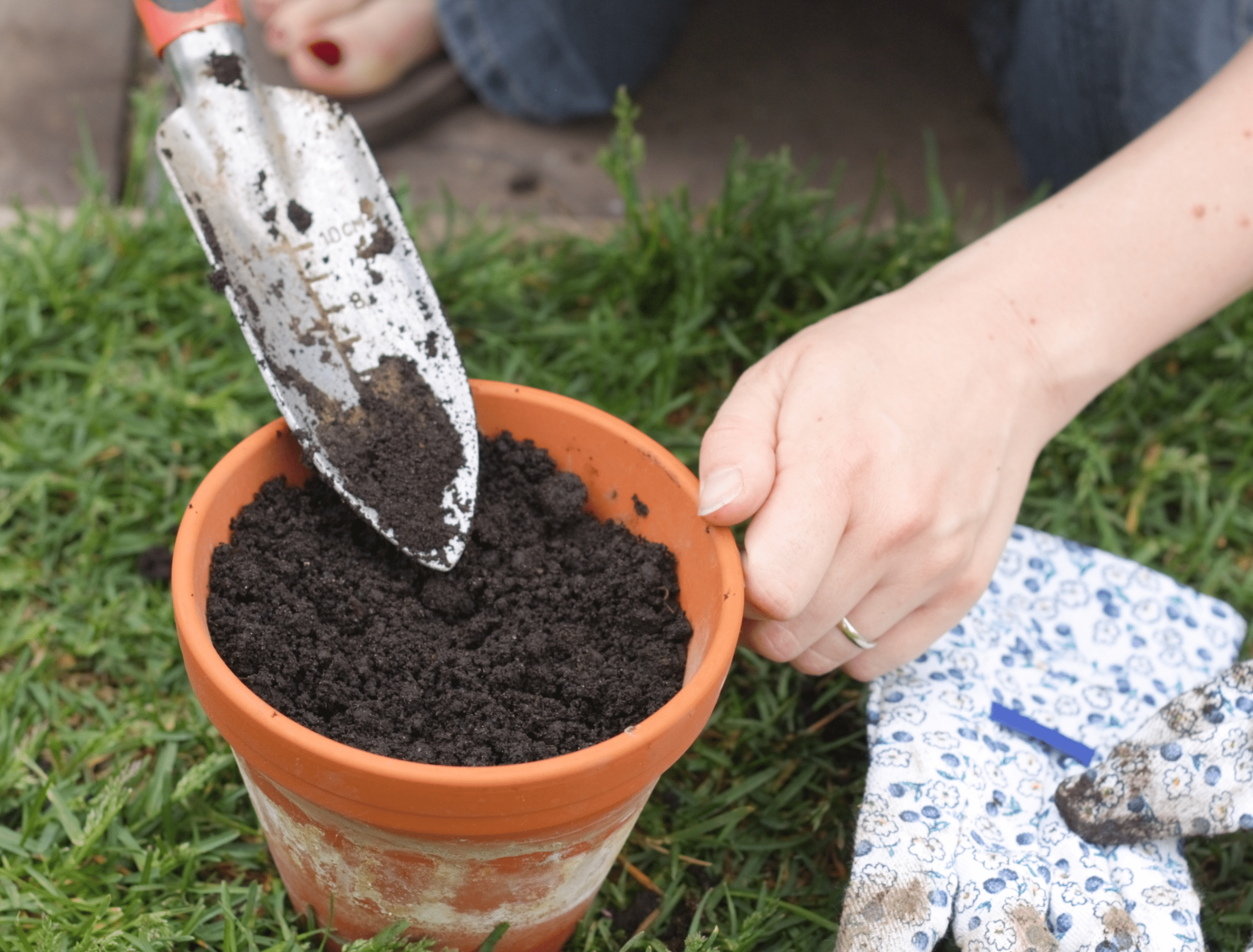 Filling Pot with Soil