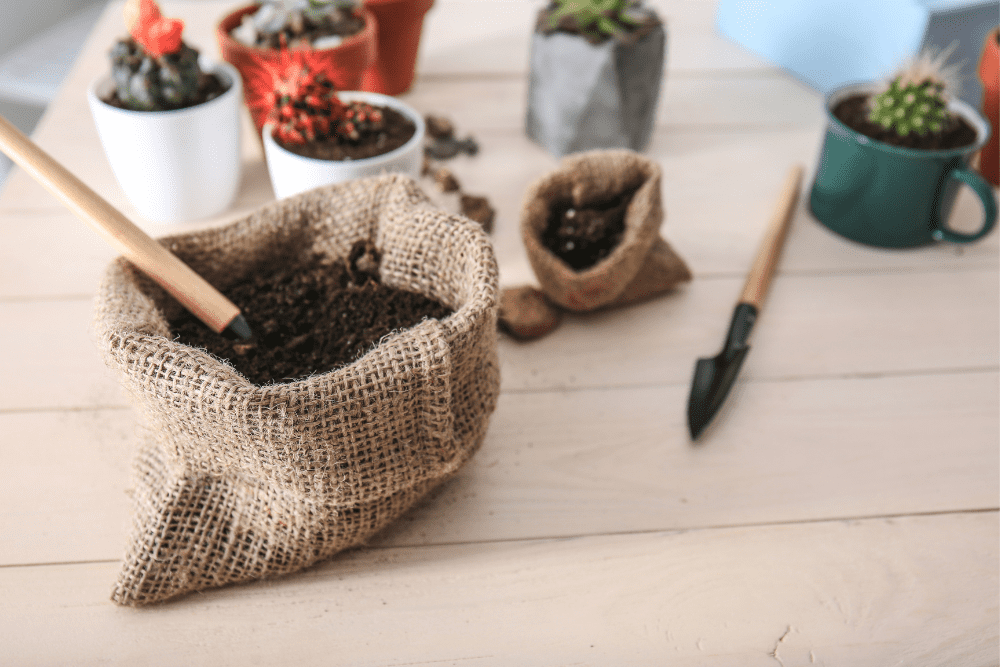 Bag with Soil on Wooden Table