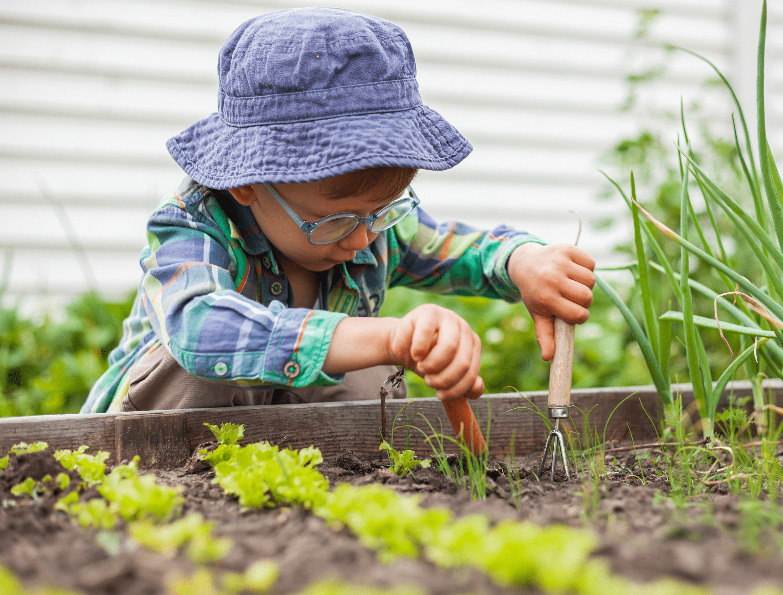 Child Gardening in Vegetable Garden in the Backyard