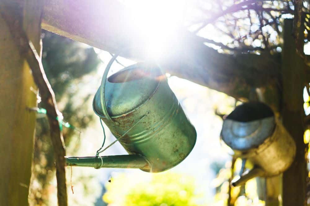 Hanging watering cans