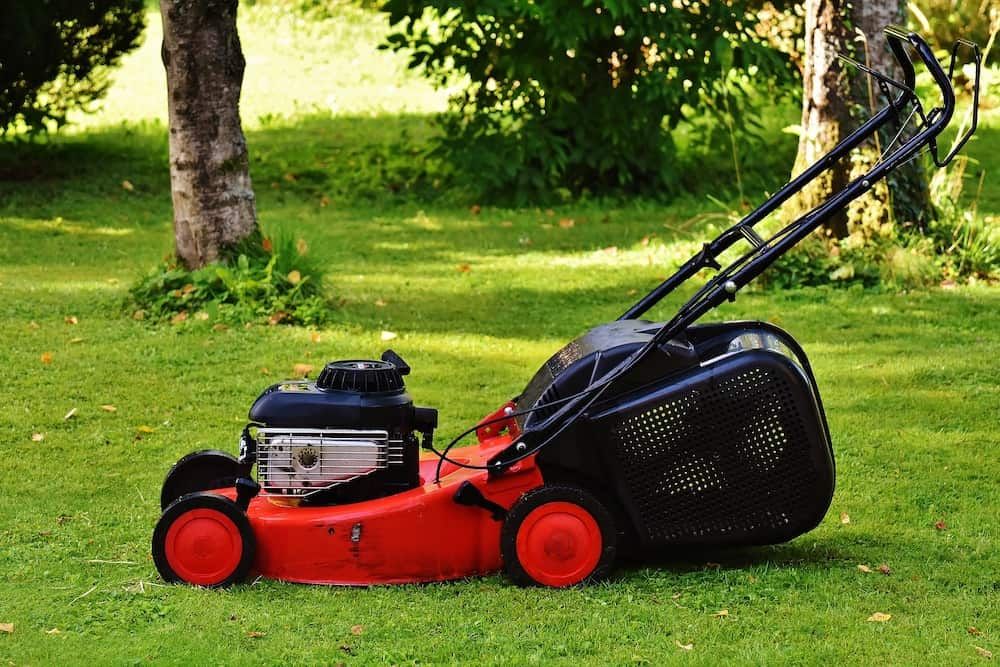 lawnmower on the lawn
