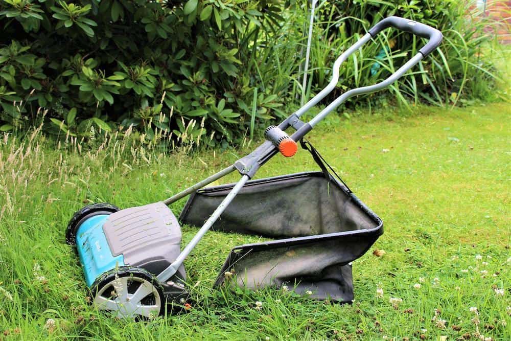 lawn mower with grass clippings