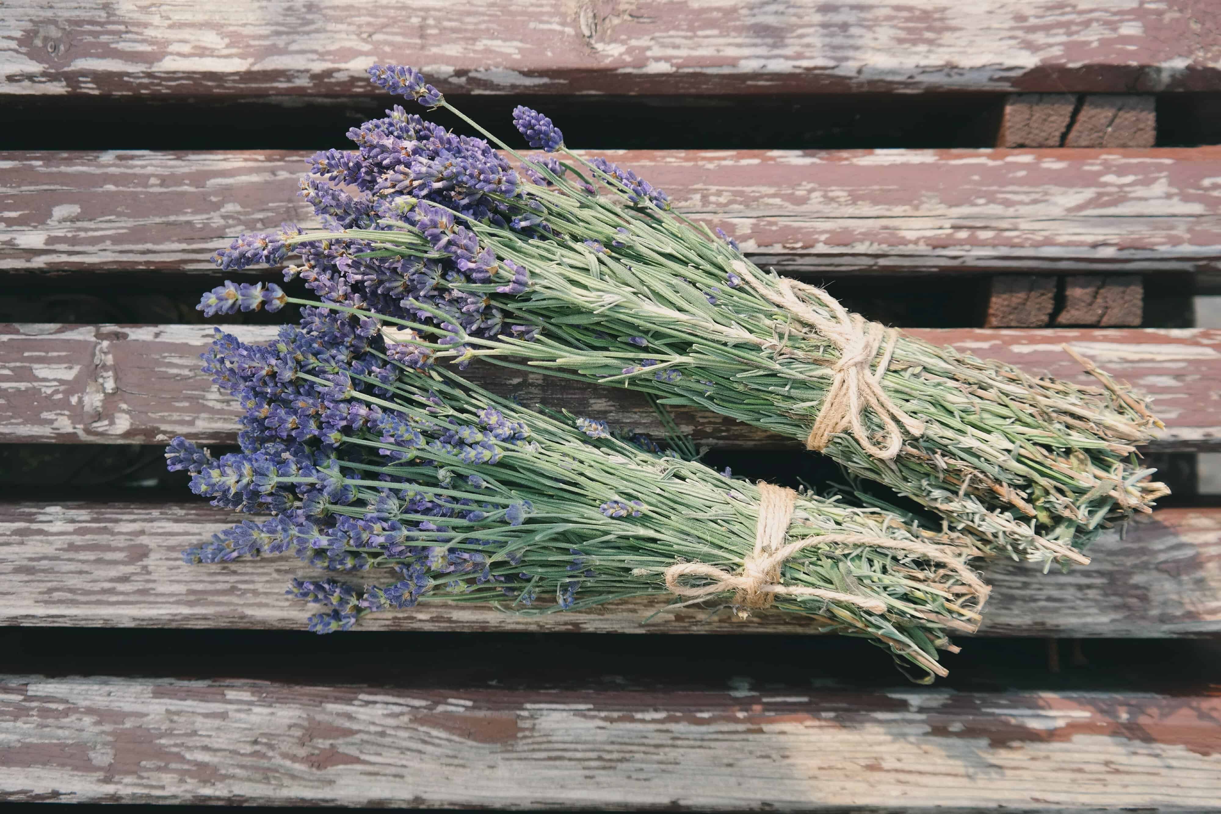 bundles of lavender