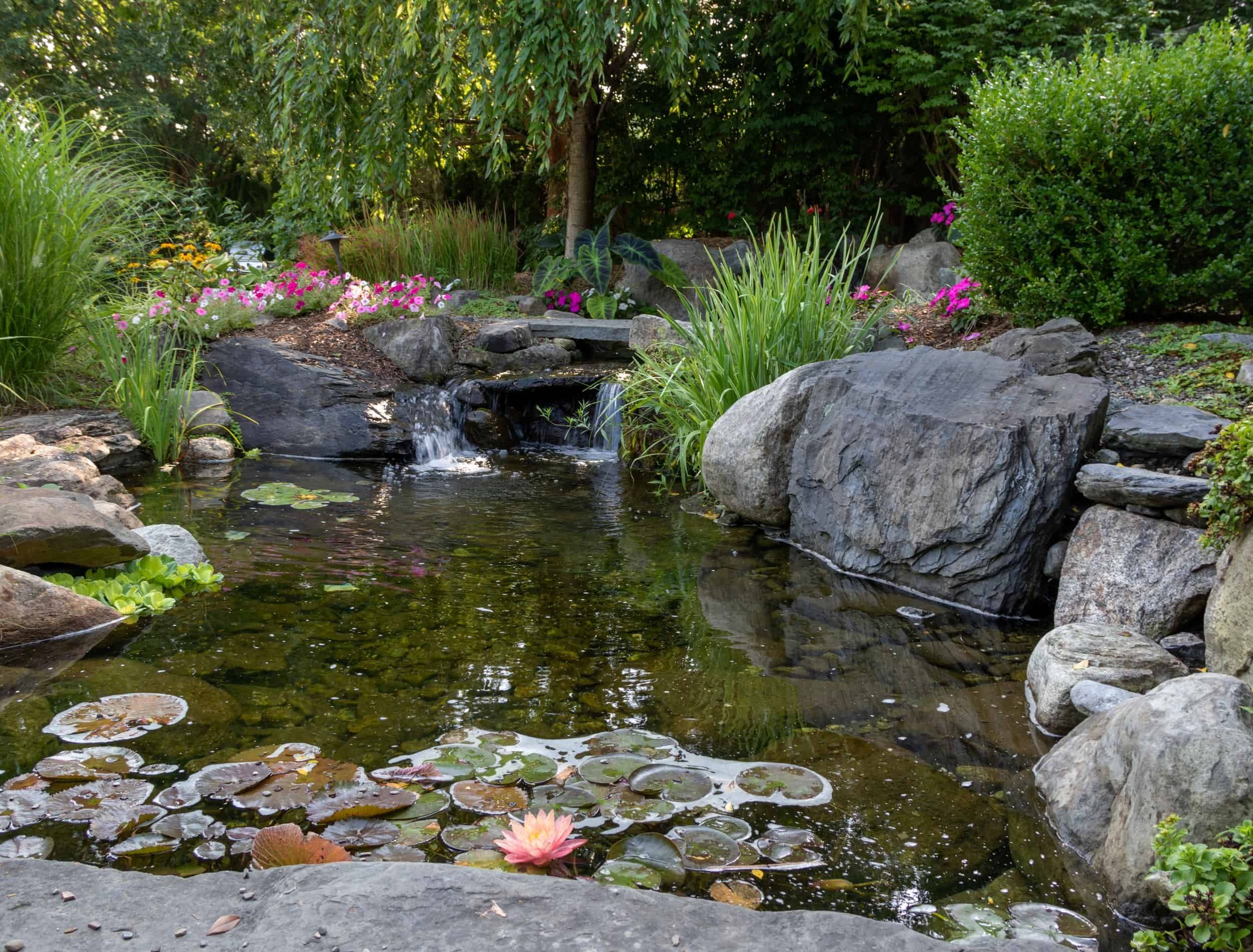 Landscape architecture for spring and summer garden featuring Koi Pond and Gazebo